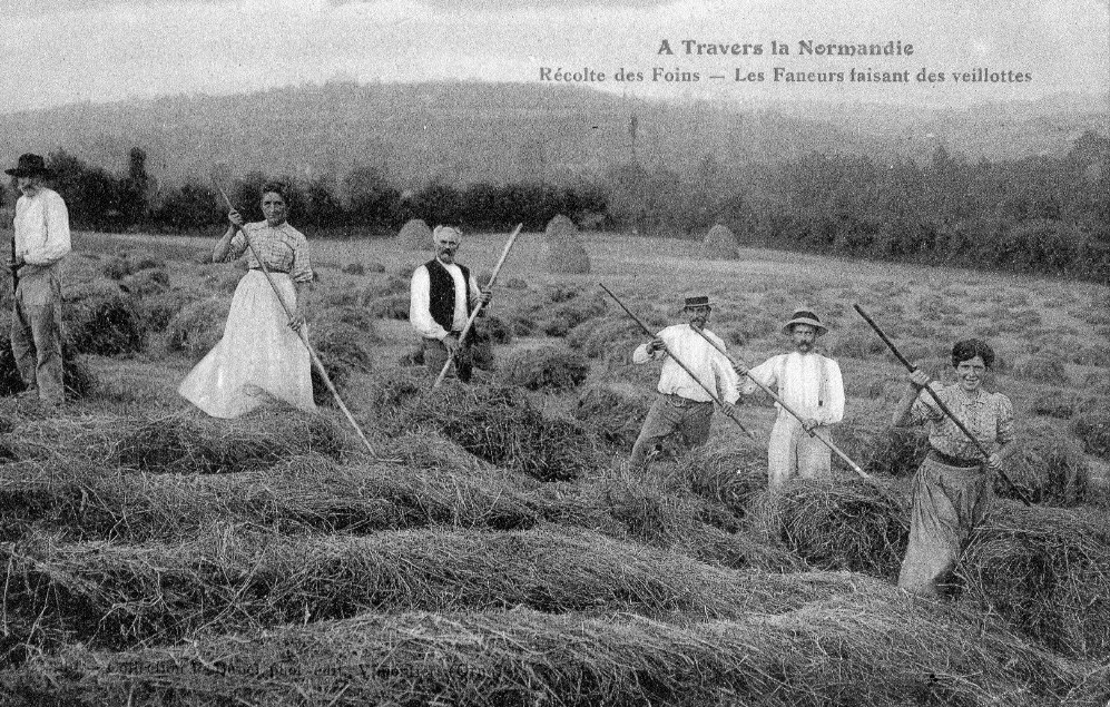 Les conférences d’histoire locale