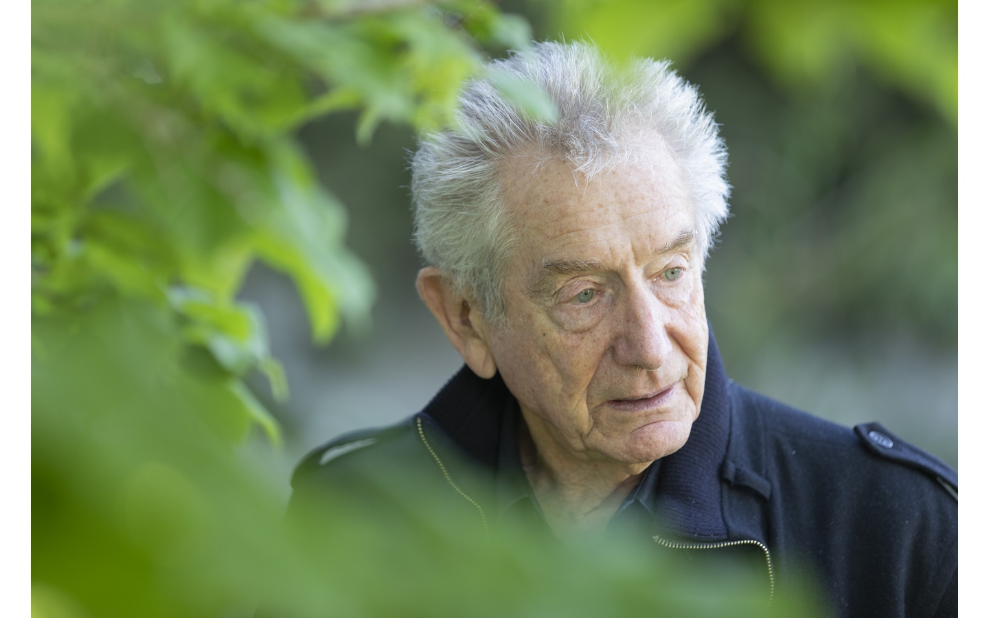 Les écosystèmes émergents