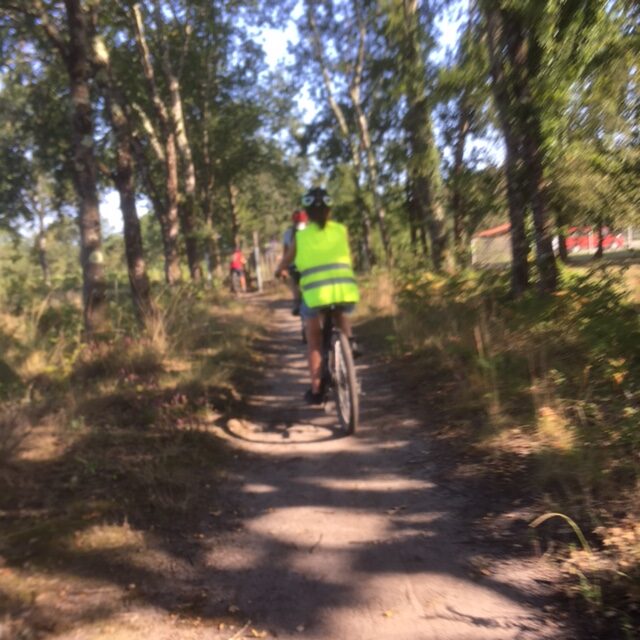 Les Mardis Découverte du printemps VTC VTT Bois sacré et croix de sauveté