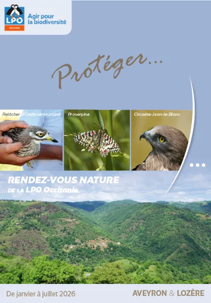 Les oiseaux des Gorges de la Dourbie LPO