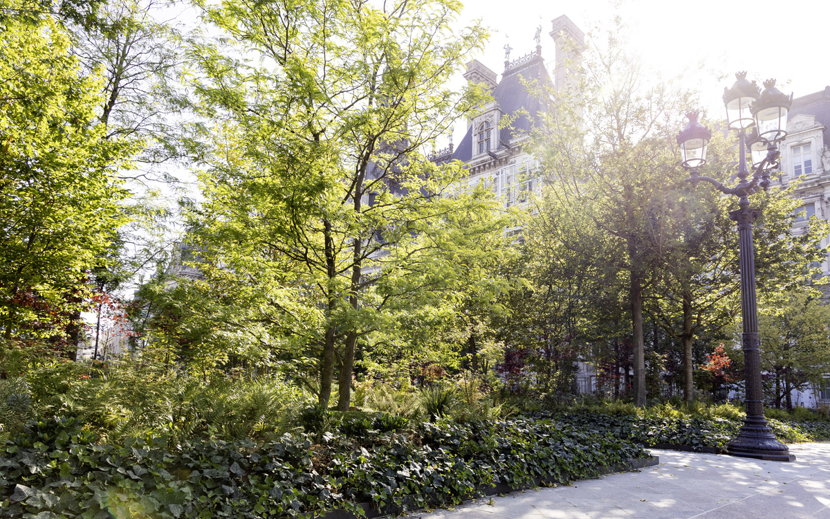 Les transformations végétales du Paris historique Académie du climat  Paris