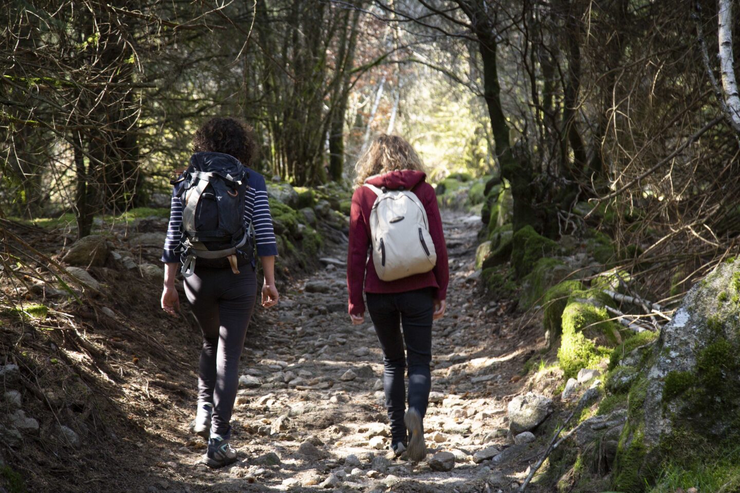 L'hivernal du lac randonnée