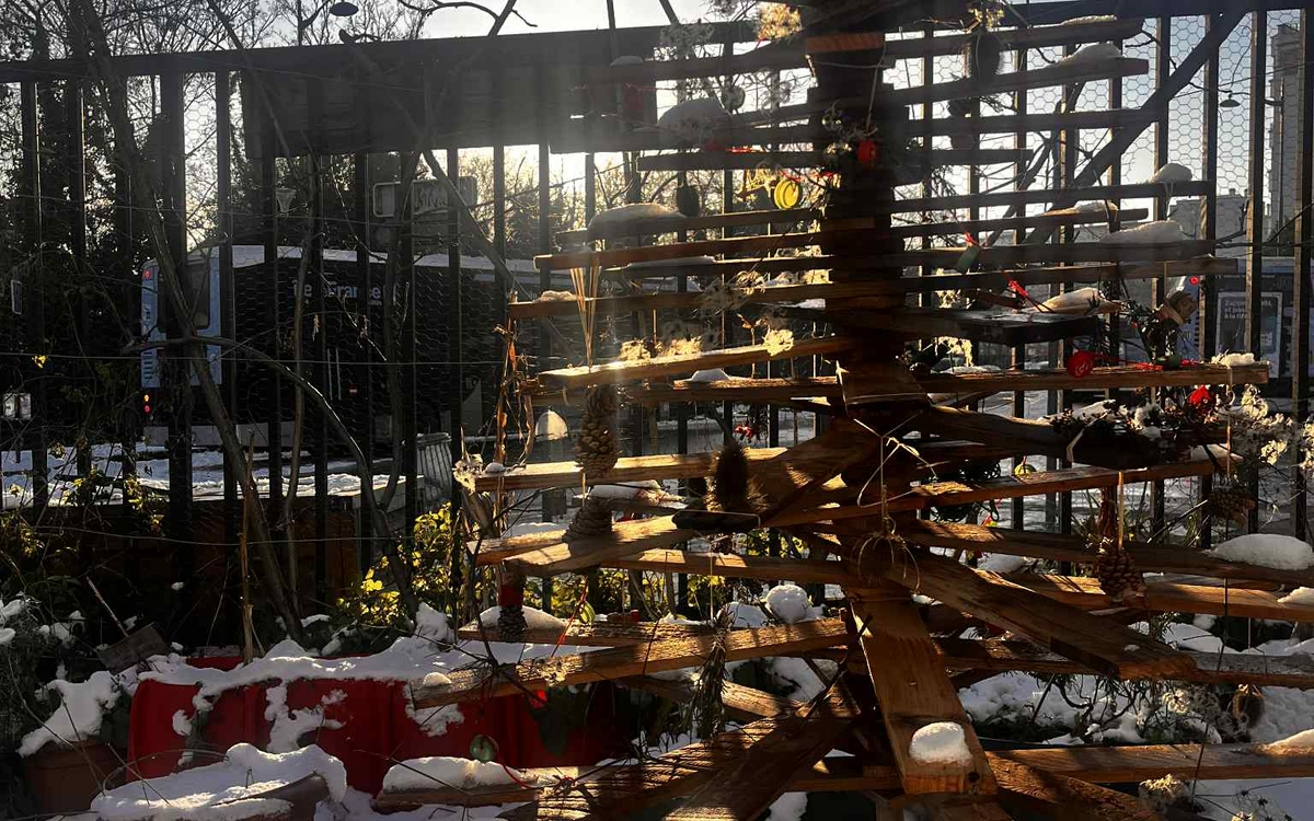 [LRV] Atelier Photo Nature dans les jardins Centre Paris Anim' Maurice Ravel  PARIS