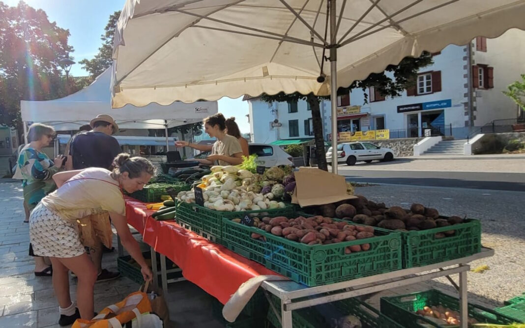 Marché aux produits fermiers  Hasparren