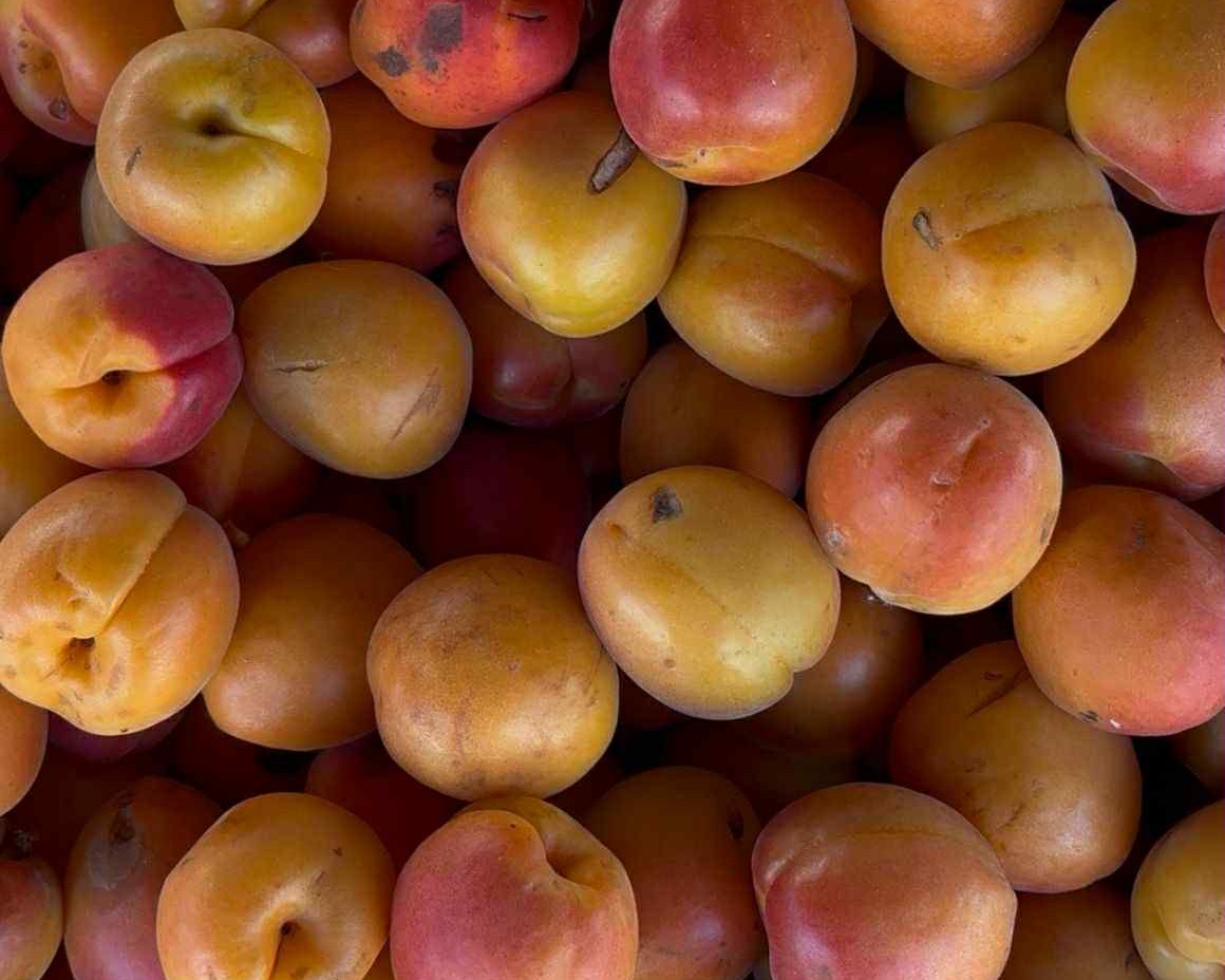 Marché de Sully-sur-Loire – Lundi Place de Charles de Gaulle et Bld du Champ de Foire Sully-sur-Loire 2026-01-12 Marché de Sully-sur-Loire - Lundi