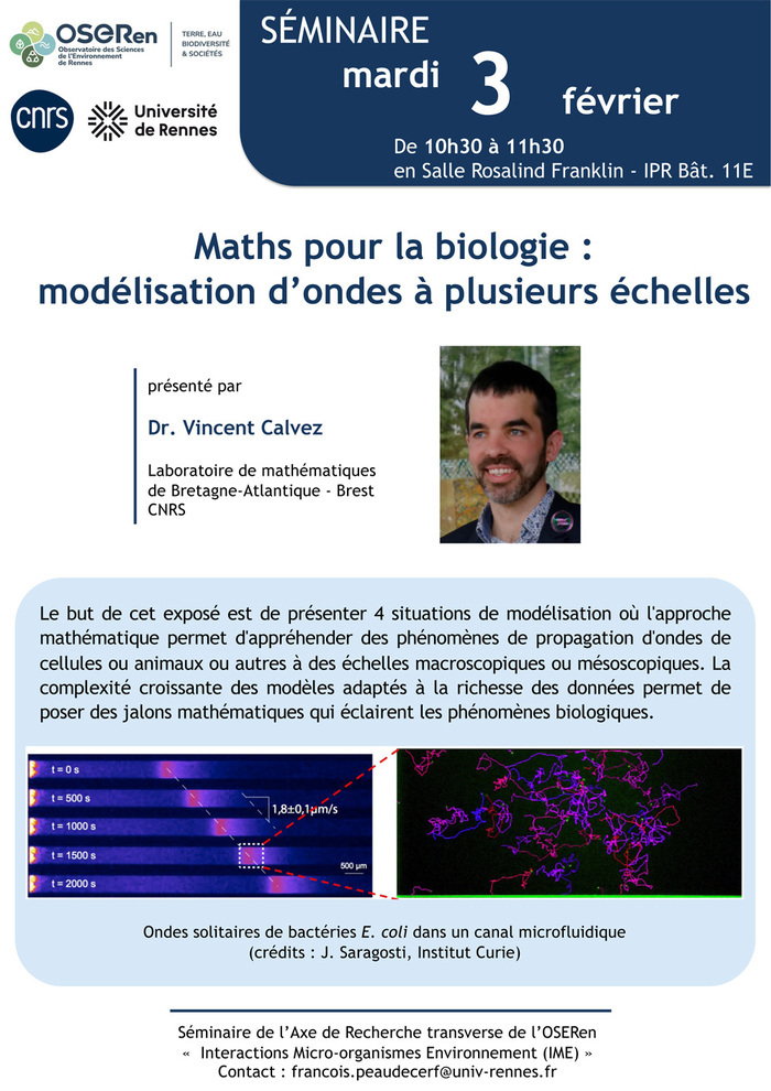 Maths pour la biologie : modélisation d’ondes à plusieurs échelles Université de Rennes Maths pour la biologie : modélisation d’ondes à plusieurs échelles Université de Rennes