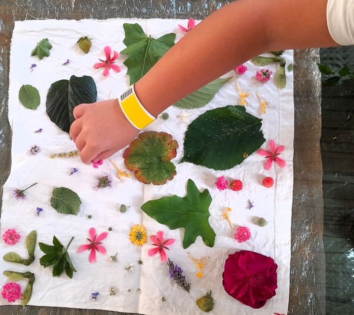 Mercredi Créatif Tataki zomé