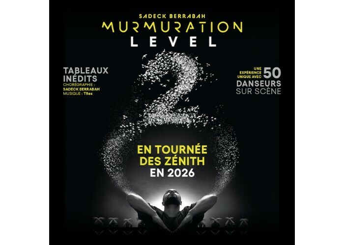 Murmuration - Level 2 - de Sadeck Berrabah Zénith Nantes Métropole