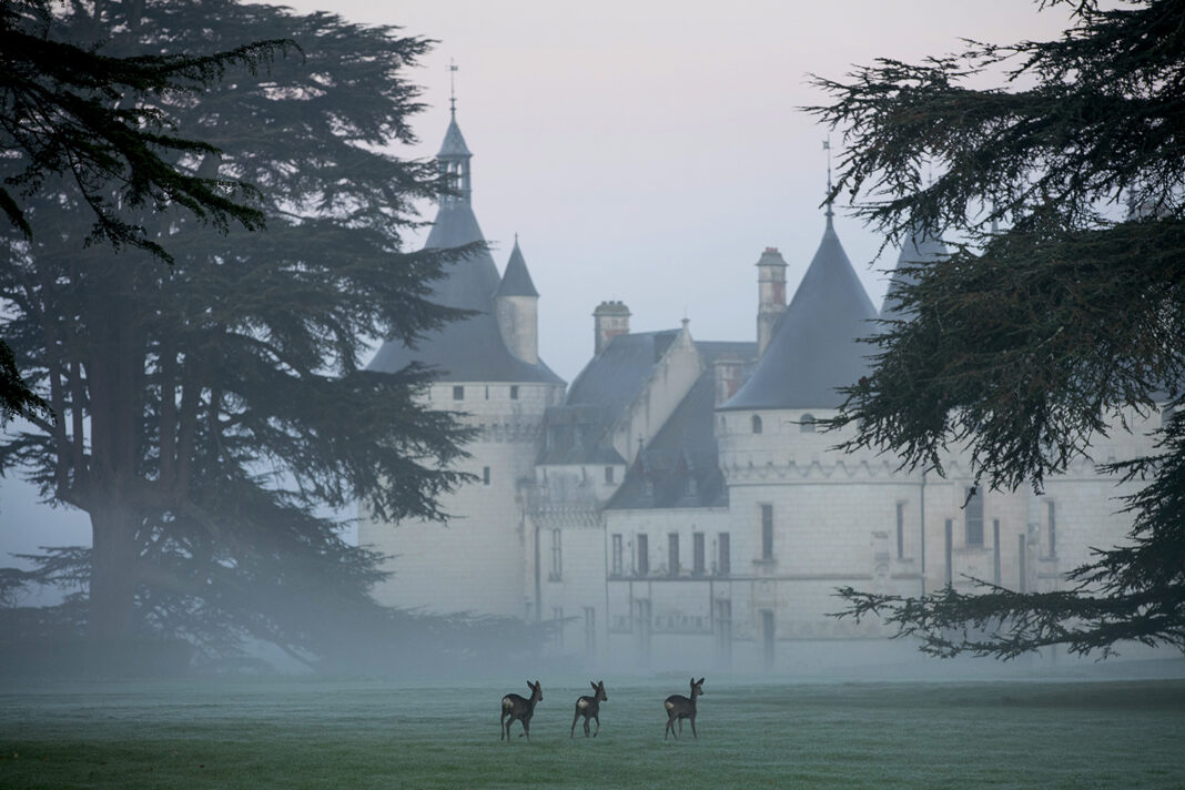 Noël au château de Chaumont-sur-Loire Chasse au trésor  Chaumont-sur-Loire