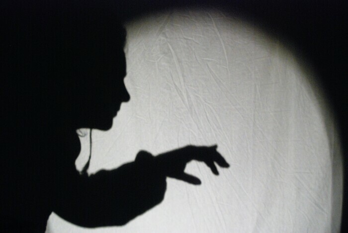 Peau de loup Bibliothèque Longs-Champs Rennes