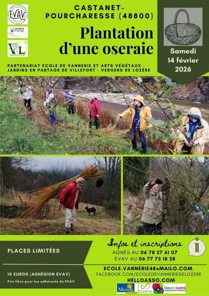 PLANTATION D'UNE OSERAIE À CASTANET