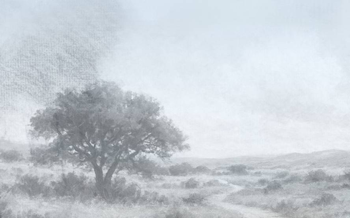 Pour la Semaine de la langue française écoutez "La Route" de Julien Gracq ! Bibliothèque Saint-Simon  Paris