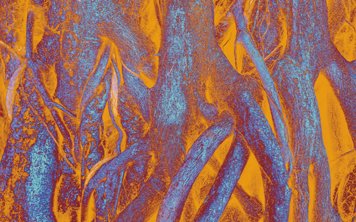 Présentation de l'ouvrage « Coopérisme » Fondation Maison des Sciences de l'Homme (FMSH)  Paris