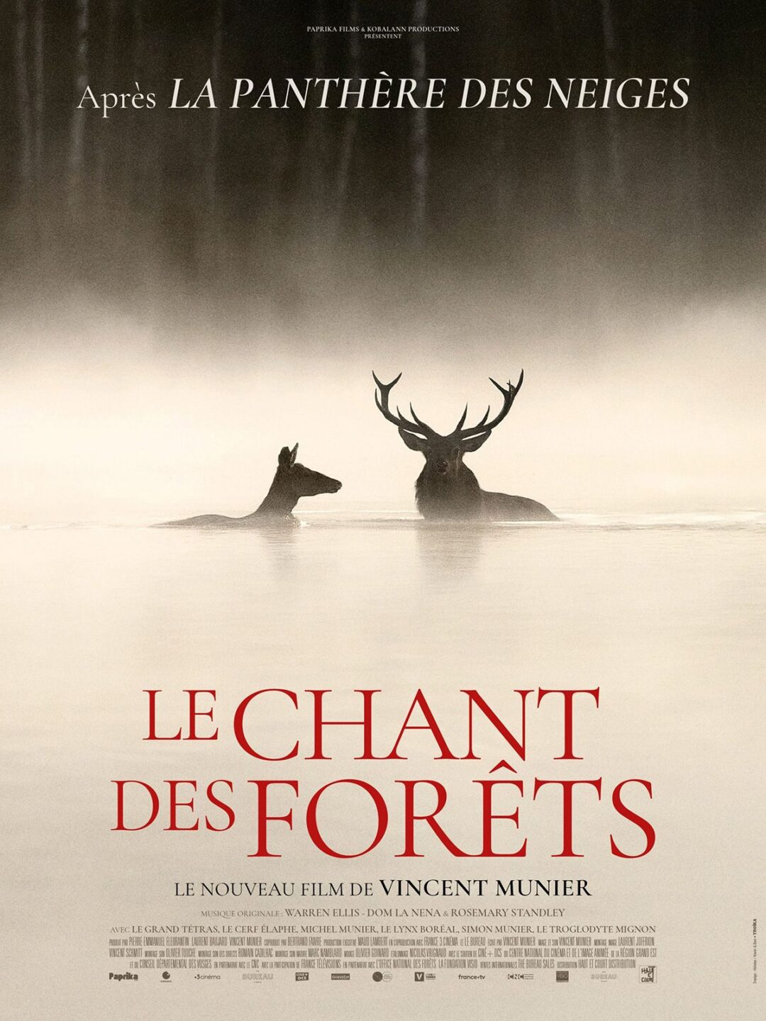 Projection de film Le Chant des Forêts
