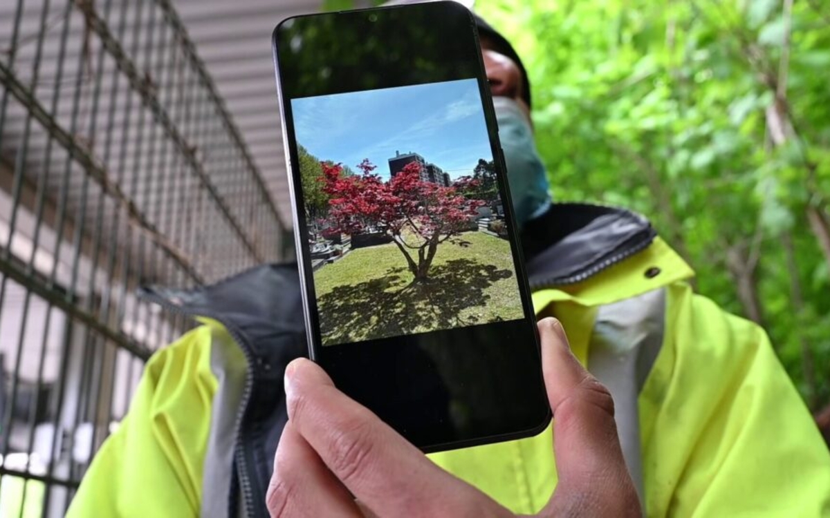 Projection du film documentaire "L'Île des possibles" Médiathèque Violette Leduc Paris