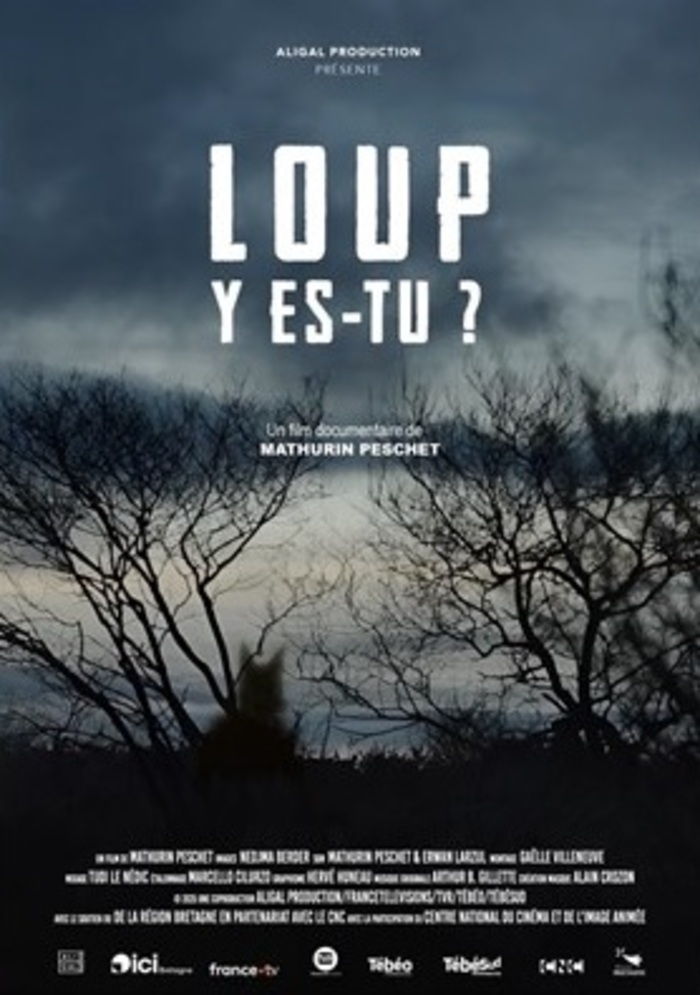 Projection et rencontre : Loup y es-tu ? Bibliothèque Longs-Champs Rennes