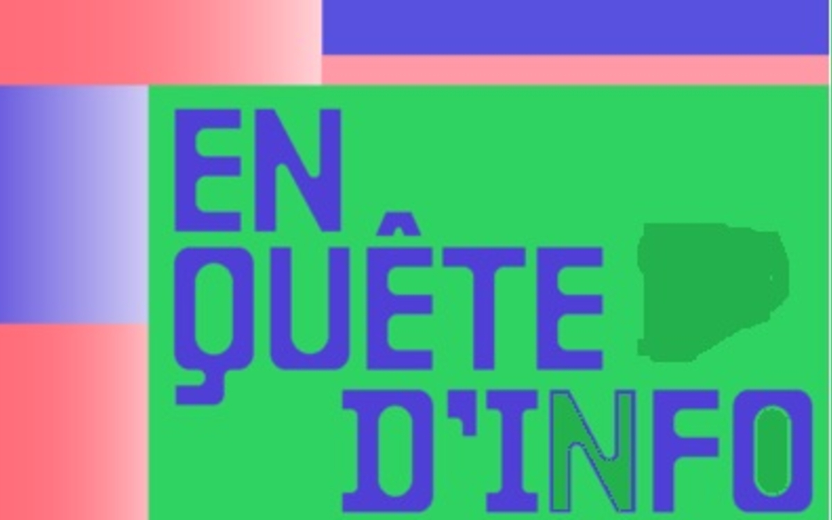 Quand le mensonge menace la démocratie Bibliothèque Robert Sabatier  Paris