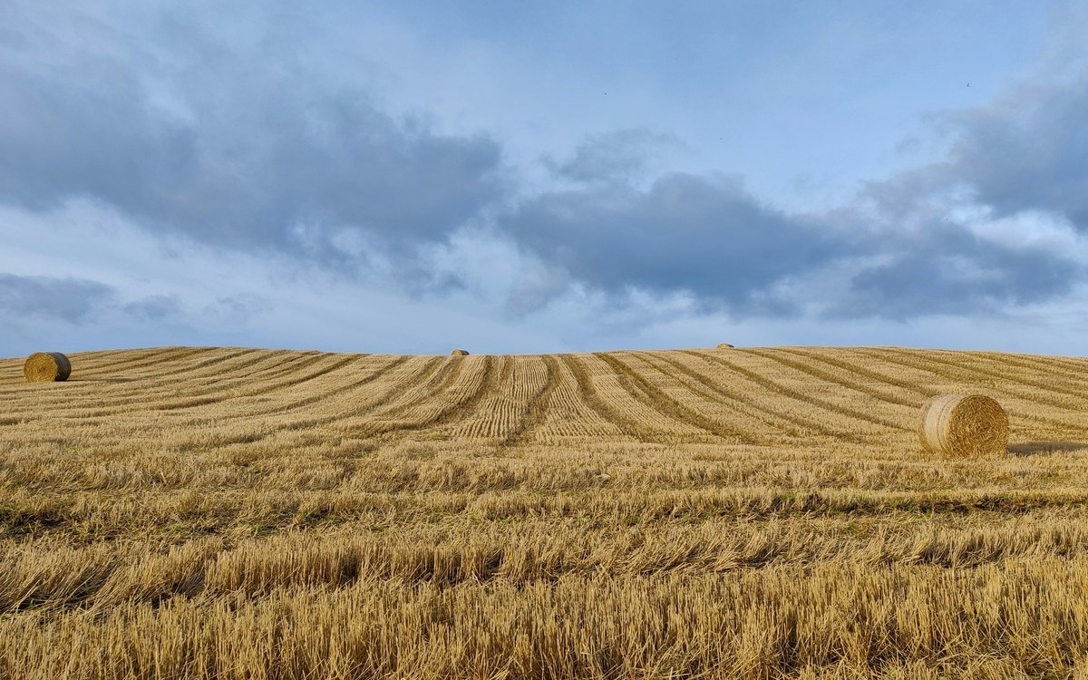 Quel avenir pour les terres agricoles ? Bibliothèque publique d'information  Paris