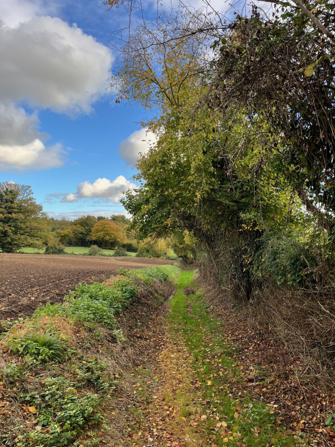 Rando mensuelle des Sentiers du Perche