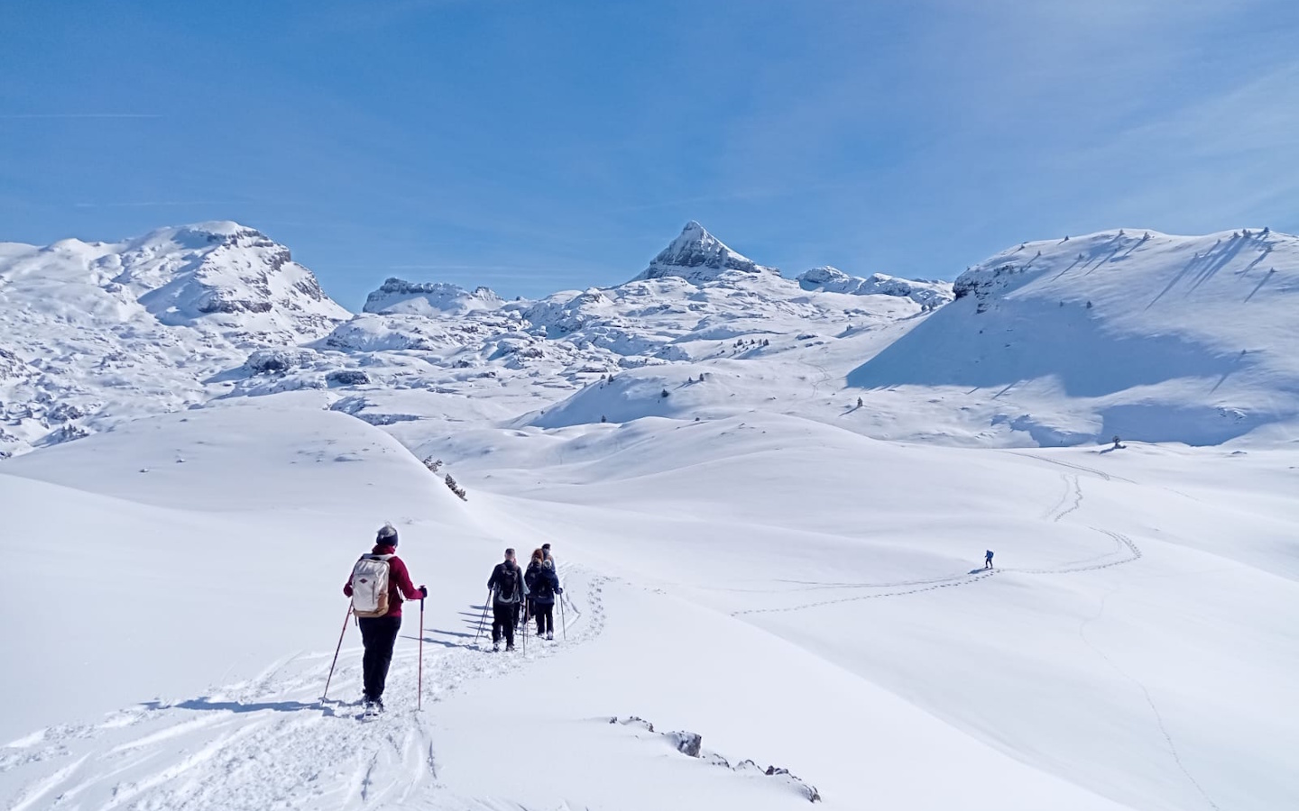 Randonnée accompagnée Mendi Gaiak raquettes à neige (niveau 3)