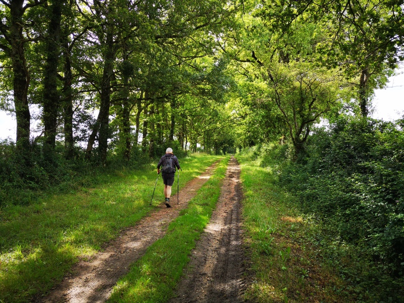 Randonnée autour de notre village