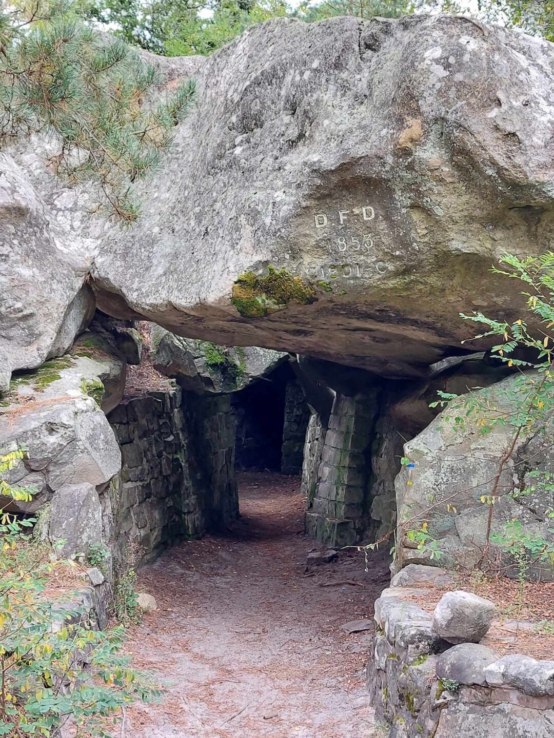 RANDONNEE EN FORET DE FONTAINEBLEAU LES GORGES DE FRANCHARD