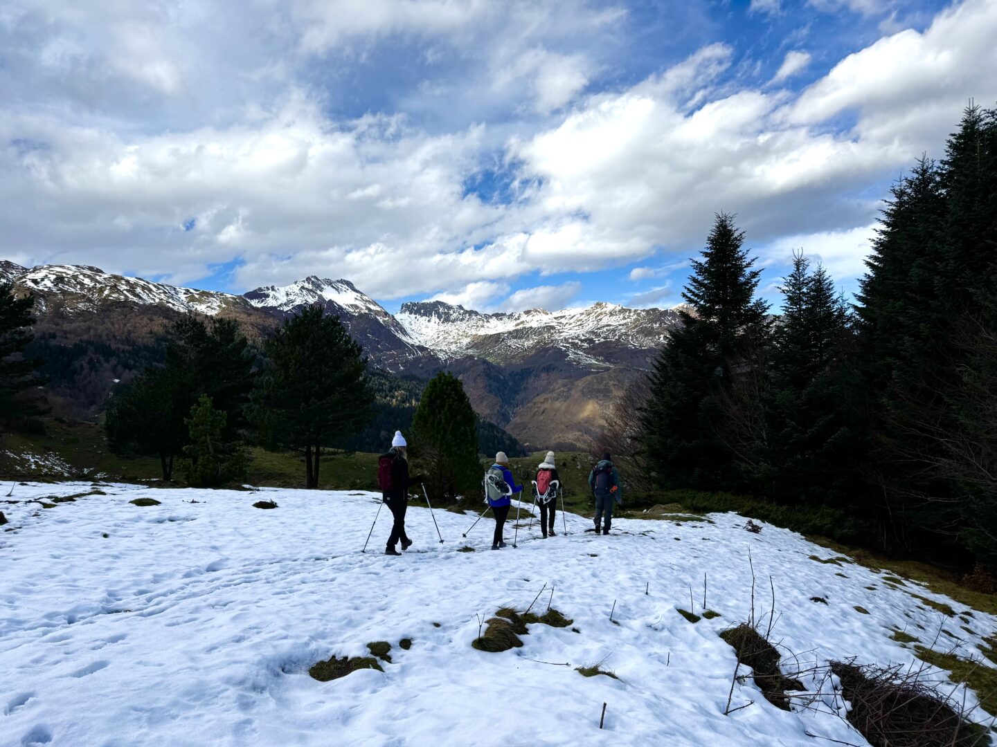 Randonnée hivernale sur les traces de la faune sauvage