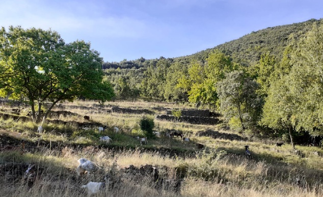RÉUNION PUBLIQUE AUTOUR DU PROJET CAMPMAS ET MASIÈRES