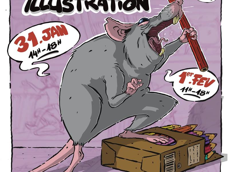 Salon BD et illustration Toul