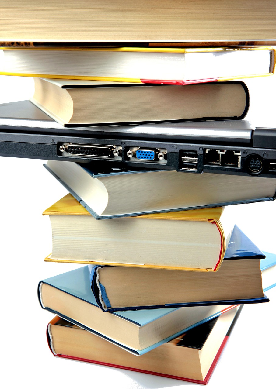 SEYSSES EN LIVRES 12° ÉDITION