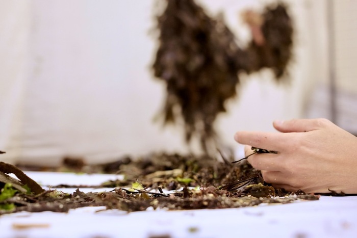 Sortie de résidence : Julia Passot / La Turbine - Ce que laisse la mer Fabrique Dervallières (La)