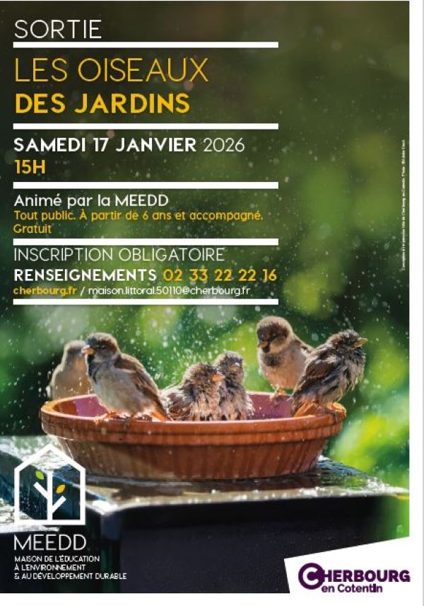 Sortie les oiseaux les jardins