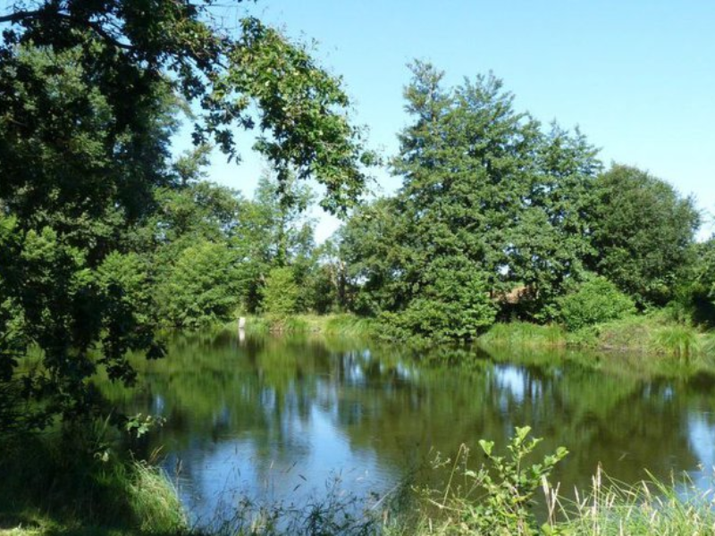 Sortie Natura 2000 Les 4 Fantastiques Visite de l'étang de Berdassit