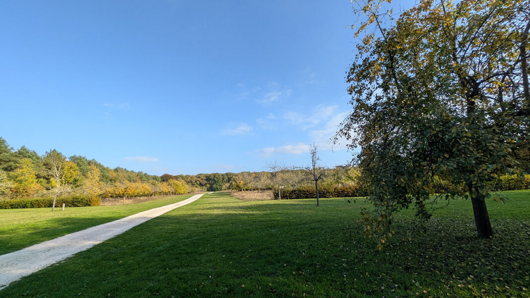 Sortie nature à Vauclair Arbres, fruits forestiers et cycle de la matière  Bouconville-Vauclair