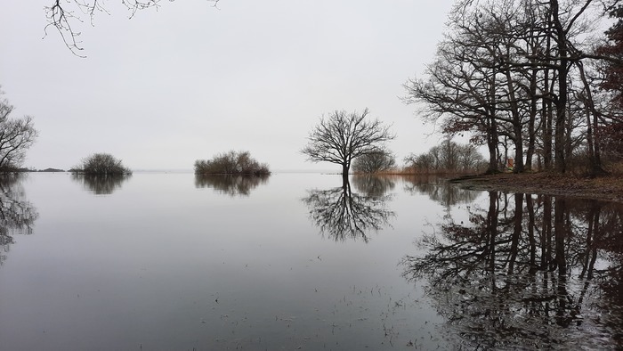 Sortie oiseaux sur les bords du Lac de Grandlieu Pierre Aigües