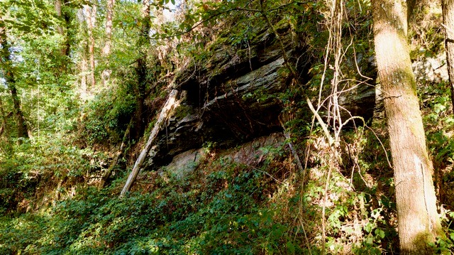 Sortie printanière au Moulin des Fougères