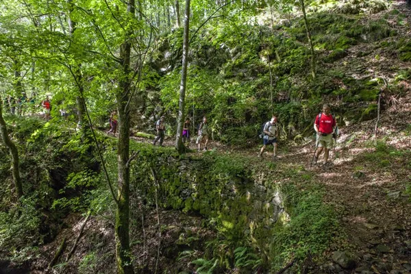 Sortie randonnée pédestre douce Trionac-Campchés