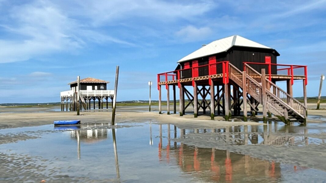 Sorties sur l&rsquo;eau au départ du port de la Hume  Gujan-Mestras