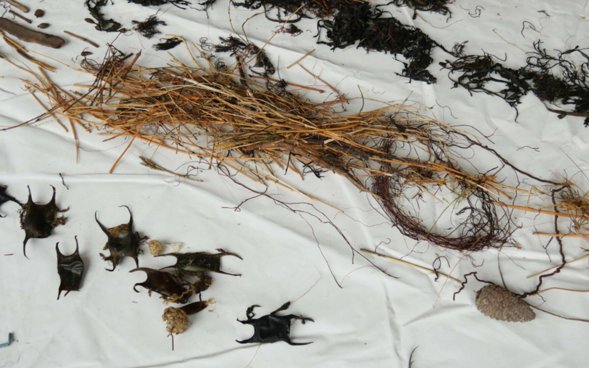 Spectacle : Ce que laisse la mer MAIF Social Club Paris