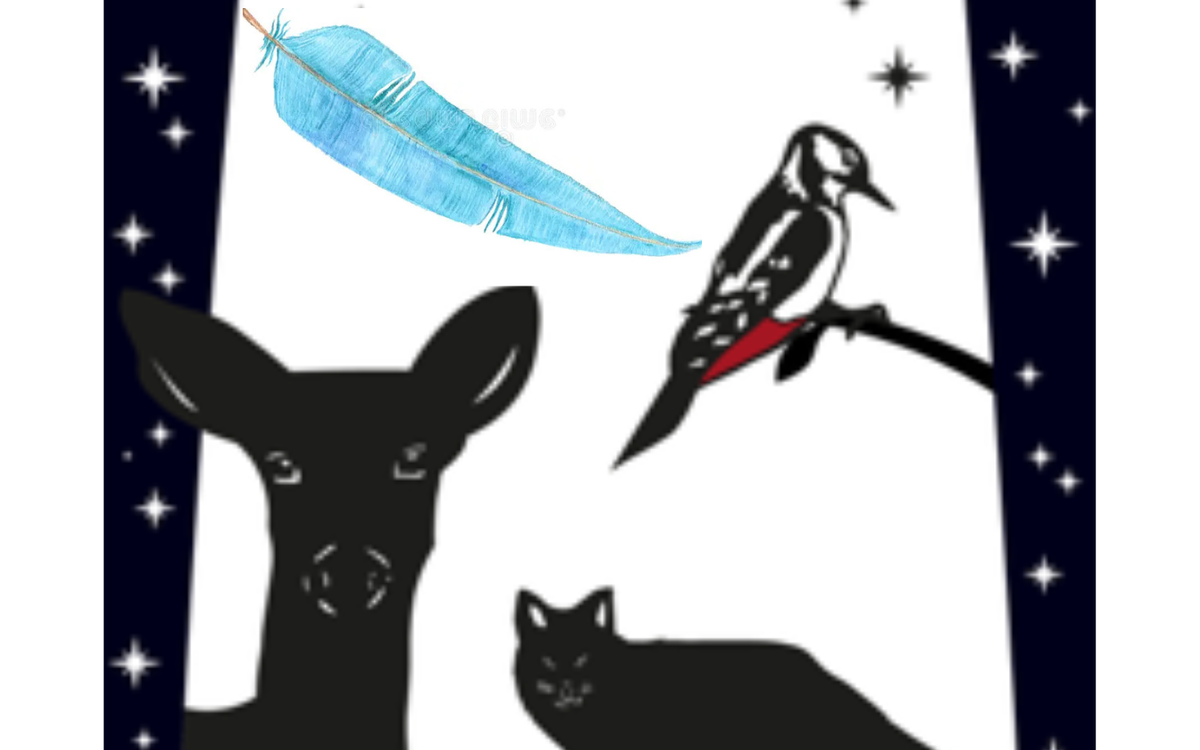 Spectacle "La Plume Bleue" Bibliothèque Italie  Paris