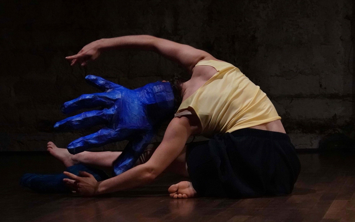 Spectacles Sauvages : il y en a même pour les plus petits ! Le Regard du Cygne  Paris