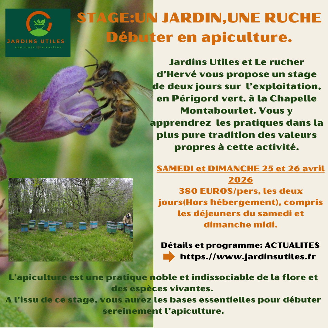 Stage Apiculture en Périgord Impasse de la Brousse La Chapelle-Montabourlet 2026-04-25 Stage Apiculture en Périgord