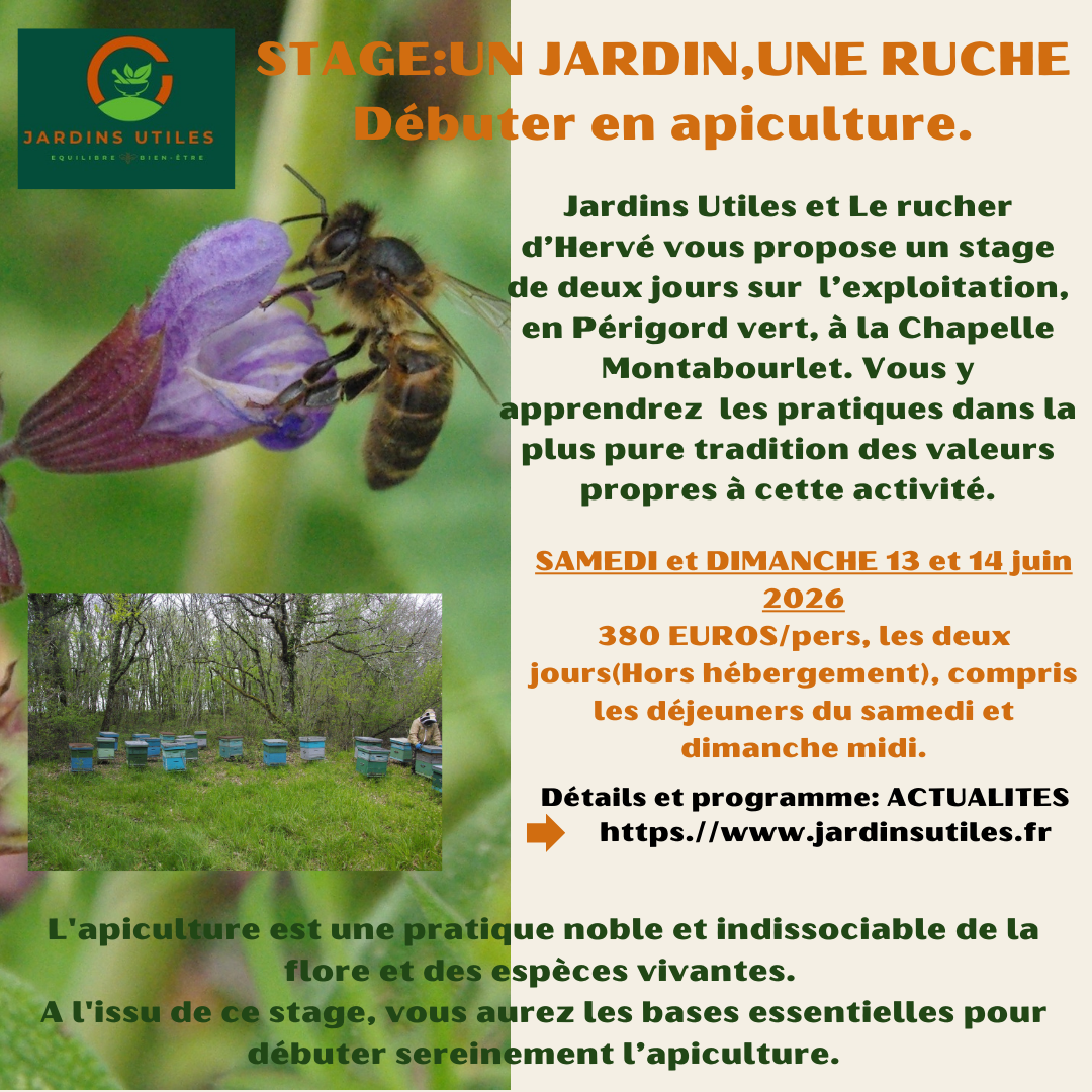 Stage Apiculture en Périgord Impasse de la Brousse La Chapelle-Montabourlet 2026-06-13 Stage Apiculture en Périgord