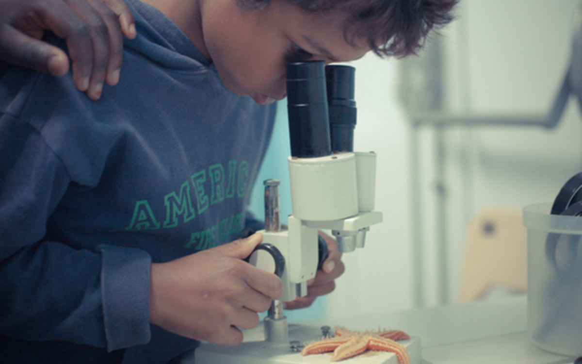 Stage Brico sciences Centre Paris Anim' Baudricourt  PARIS
