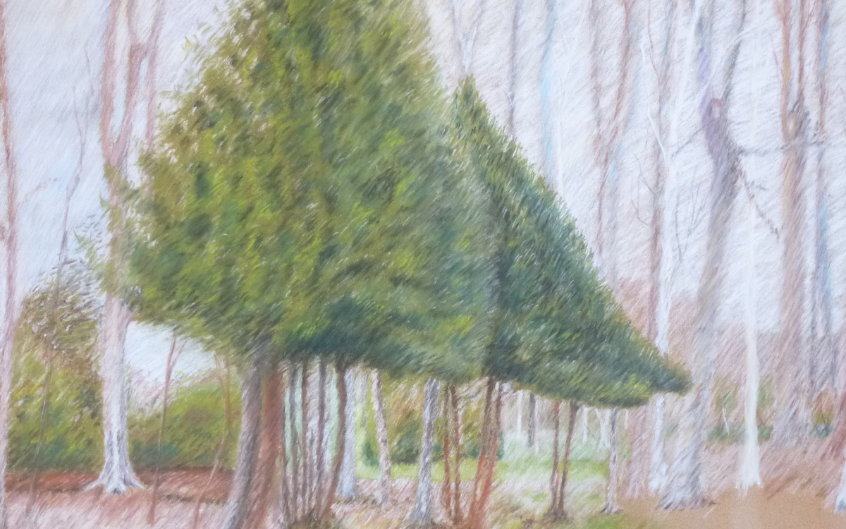 Stage de dessin Cours Nathalie Avril  Paris