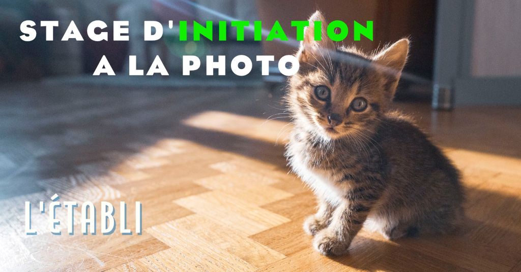 Stage Initiation à la Photographie