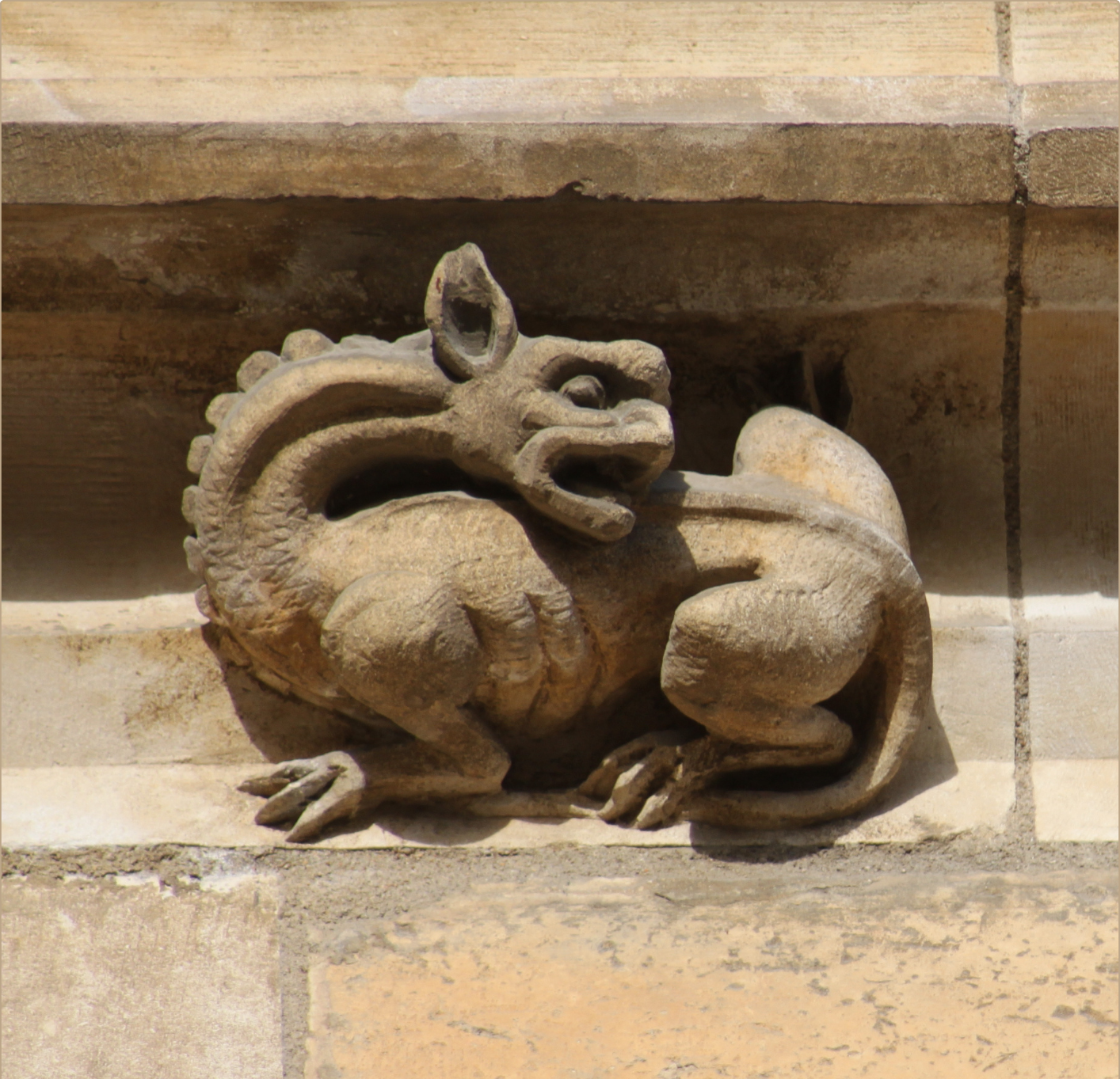 Sur la Piste des Animaux dans la Ville
