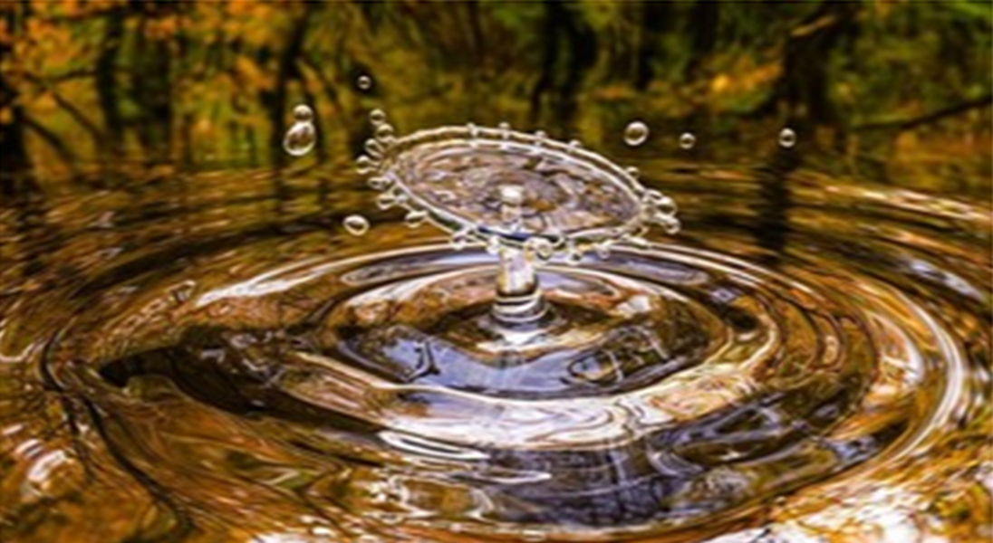 Théâtre Pleine Terre