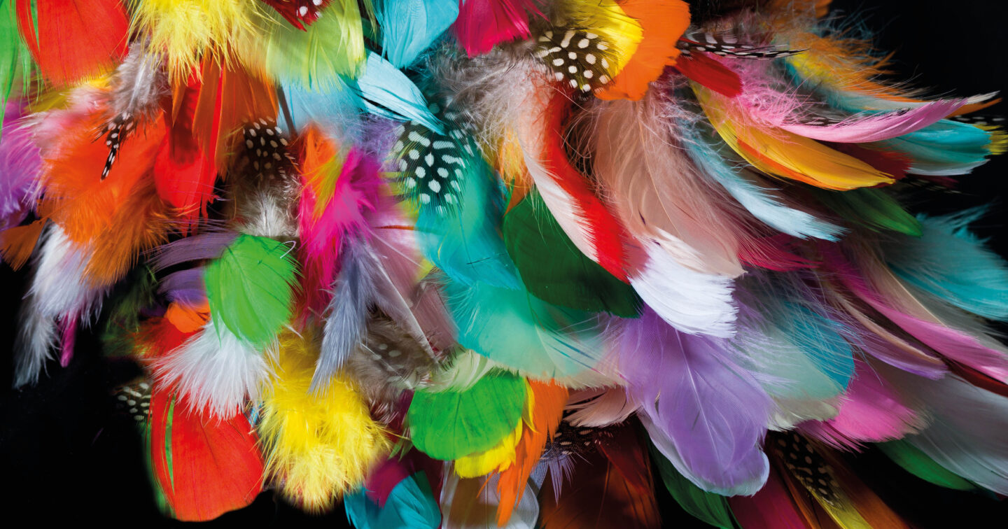 TU ME RECONNAIS ? + PÉROKÉ