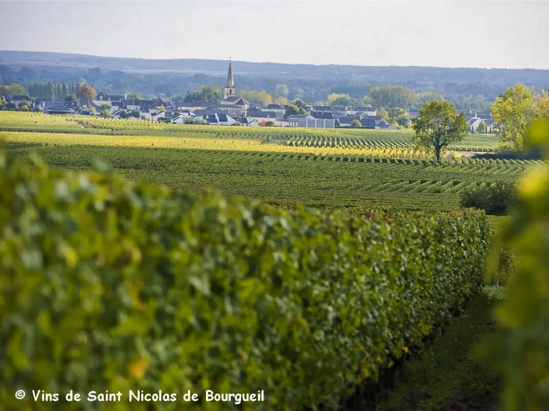 Vignobles en Scène ! Reflets de vignes